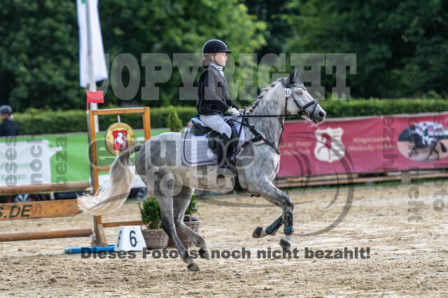 Goldene Schärpe 2021 - Ponys