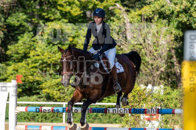 RFV Dinslaken-Hiesfeld (Herbstturnier)