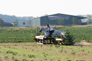 IGV Kleve