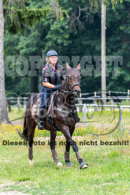 Hunter Geländetraining 10.07.2021 (Sonsbeck)