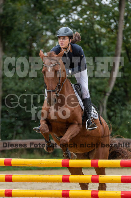 Vielseitigkeit RSV Wesel Obrighoven (26.+27.09.2020)