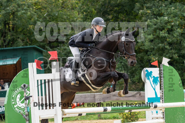 Vielseitigkeit RSV Wesel Obrighoven (26.+27.09.2020)