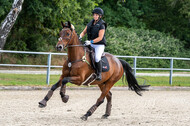 Late-Entry-Vielseitigkeit Langenfeld (11.+13./14.06.2020)
