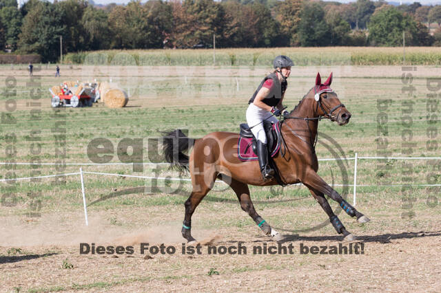 IGV Kleve