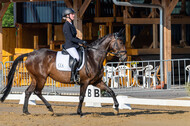 Westerstede Horse Trials 2021