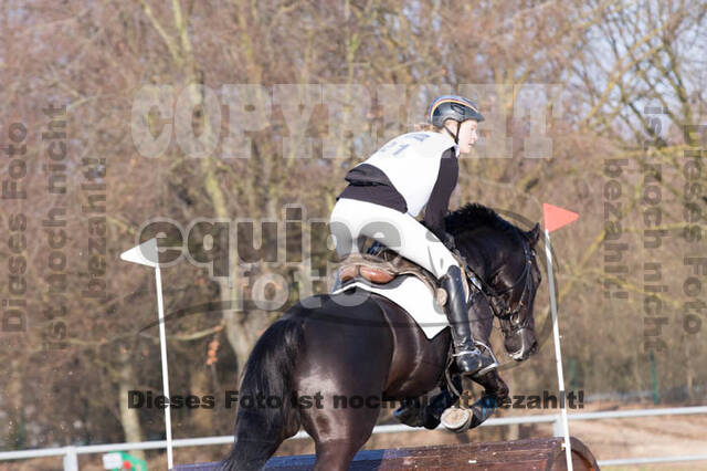 Eventing Langenfeld 2018