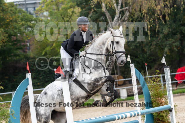 Goldene Schärpe 2020 - Pferde