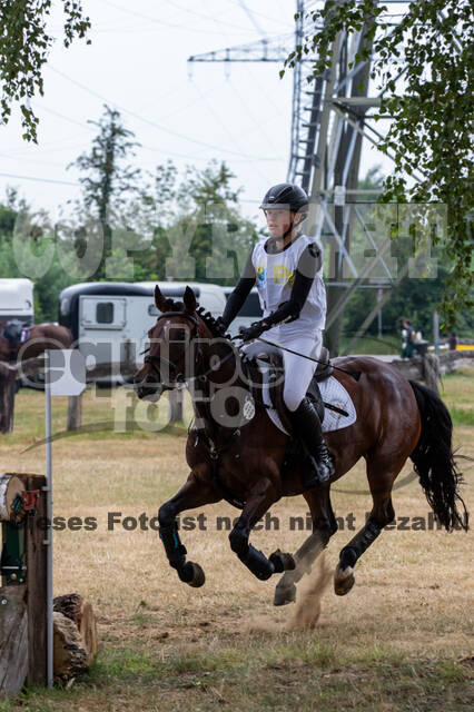 Late-Entry Vielseitigkeit Hamminkeln/Wesel (01.+02.08.2020)