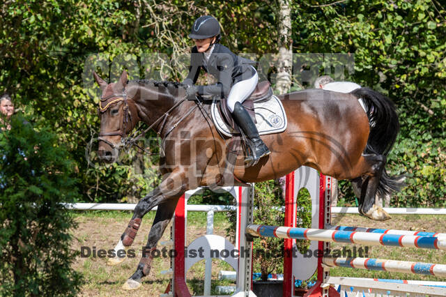 RFV Dinslaken-Hiesfeld (Herbstturnier)