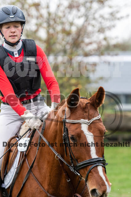 Goldene Schärpe 2020 - Pferde