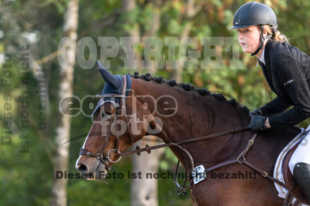 RFV Dinslaken-Hiesfeld (Herbstturnier)