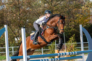IGV Lehrgang der Sieger der Cups mit Frank Ostholt