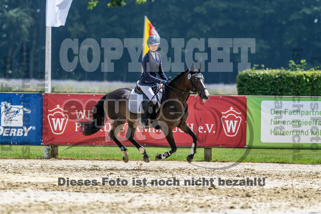 Goldene Schärpe 2021 - Ponys