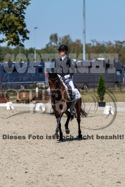 Kronenberg - De Peelbergen (August 2020)