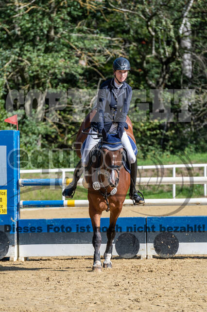 RFV Dinslaken-Hiesfeld (Herbstturnier)