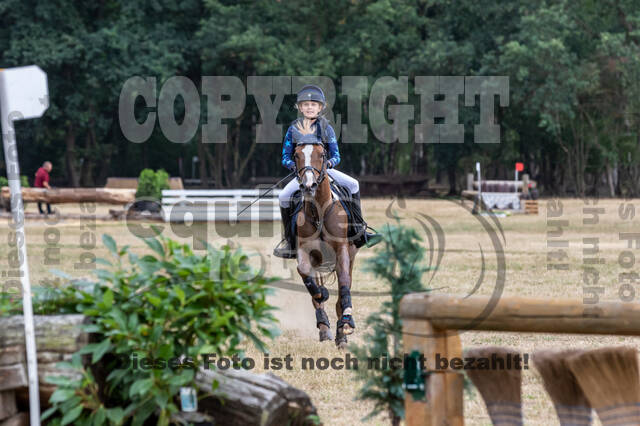 Late-Entry Vielseitigkeit Hamminkeln/Wesel (01.+02.08.2020)