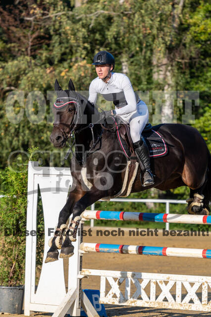 RFV Dinslaken-Hiesfeld (Herbstturnier)