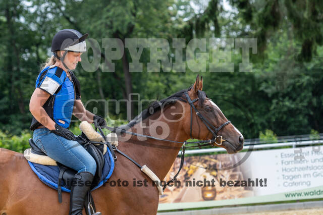 Hunter Geländetraining 10.07.2021 (Sonsbeck)