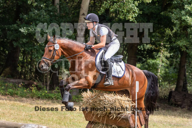 Late-Entry Vielseitigkeit Hamminkeln/Wesel (01.+02.08.2020)