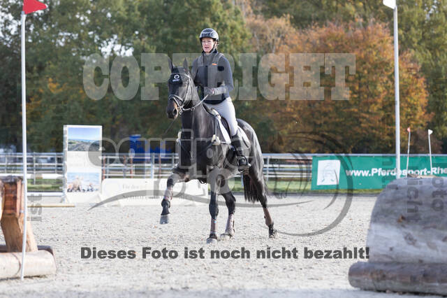 IGV Lehrgang der Sieger der Cups mit Frank Ostholt