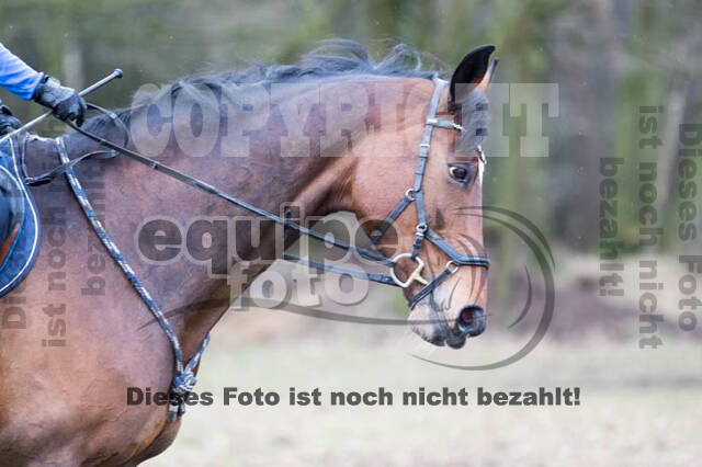 Geländetraining RSV St. Hubertus Wesel Obrighoven