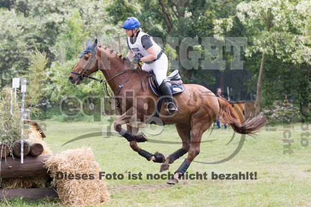 Vielseitigkeitsturnier ZRFV von Lützow Hamminkeln