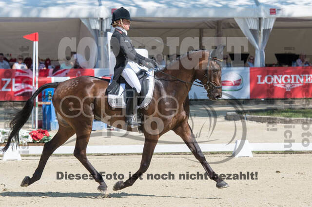 FEI European Championship Eventing 2017