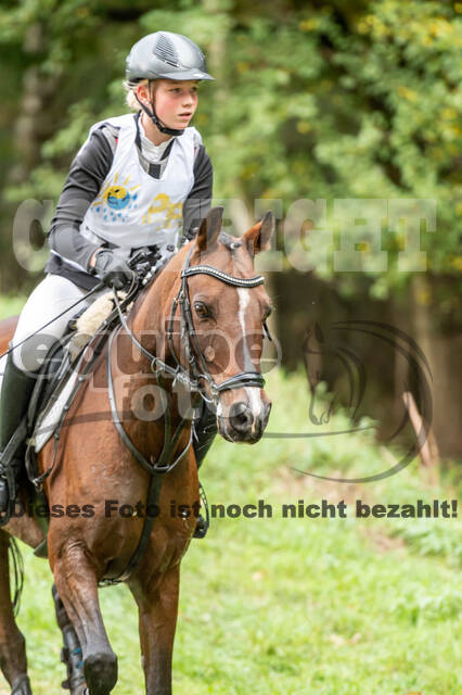 Vielseitigkeit RSV Wesel Obrighoven (26.+27.09.2020)