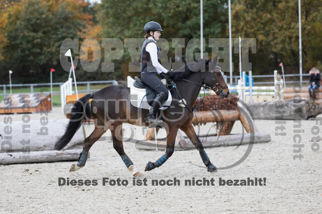 IGV Lehrgang der Sieger der Cups mit Frank Ostholt