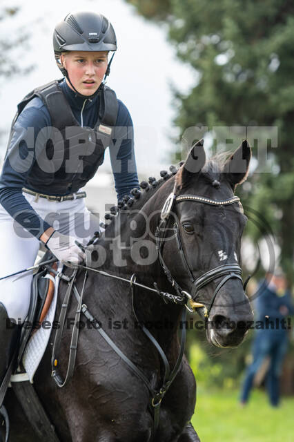 Goldene Schärpe 2020 - Pferde