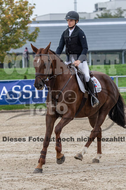 Goldene Schärpe 2020 - Pferde