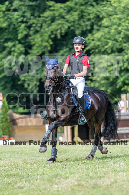 Goldene Schärpe 2021 - Ponys