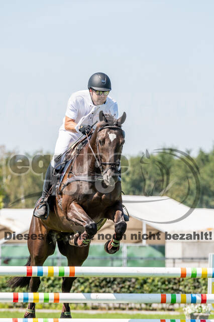 Kronenberg - De Peelbergen (August 2020)