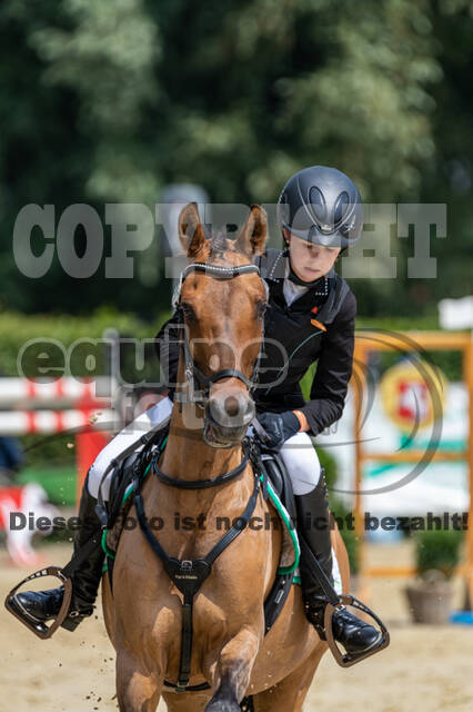 Goldene Schärpe 2021 - Ponys