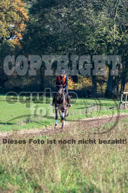 Vielseitigkeitslehrgang mit Jürg Kurbel (9.+10.11.2019)