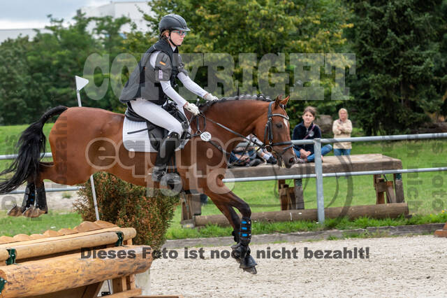 Late-Entry-Vielseitigkeit Langenfeld (06.+07.07.2020)