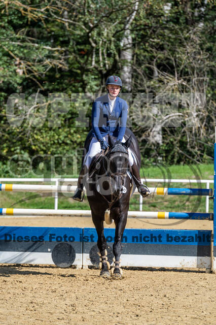 RFV Dinslaken-Hiesfeld (Herbstturnier)