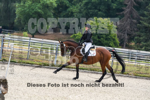 Late-Entry-Vielseitigkeit Langenfeld (11.+13./14.06.2020)