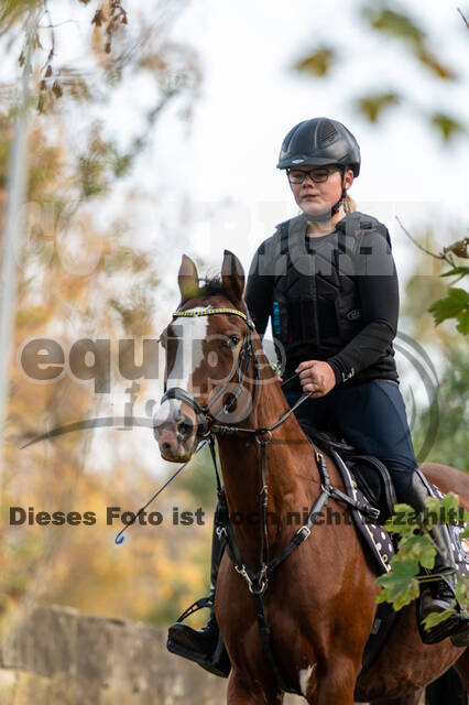 IGV Lehrgang der Sieger der Cups mit Frank Ostholt