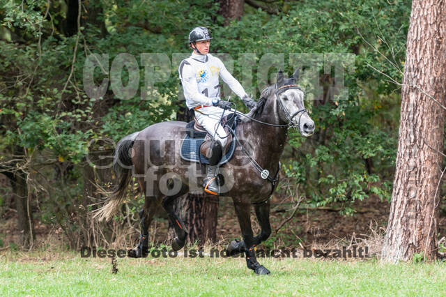 Vielseitigkeit RSV Wesel Obrighoven (26.+27.09.2020)