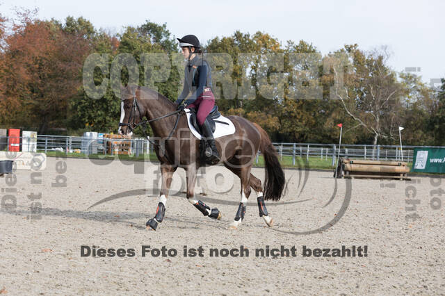 IGV Lehrgang der Sieger der Cups mit Frank Ostholt