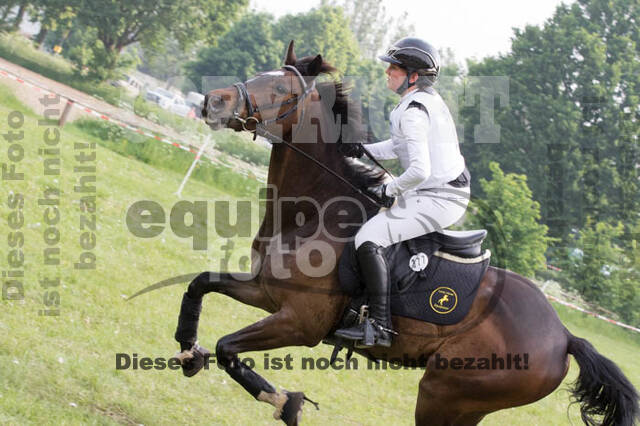 Vielseitigkeitsturnier ZRFV von Lützow Hamminkeln