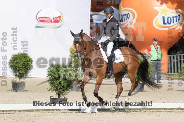 FEI European Championship Eventing 2017