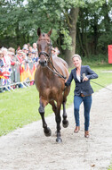 FEI European Championship Eventing 2017