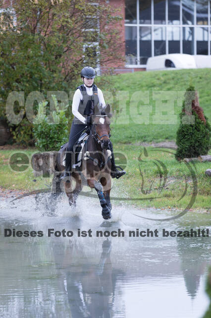 IGV Lehrgang der Sieger der Cups mit Frank Ostholt