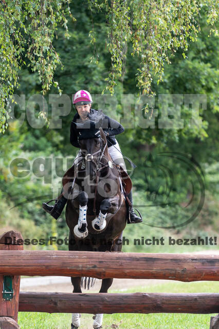 Late-Entry-Vielseitigkeit Langenfeld (11.+13./14.06.2020)