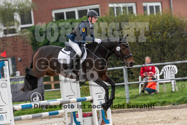 Goldene Schärpe 2020 - Pferde