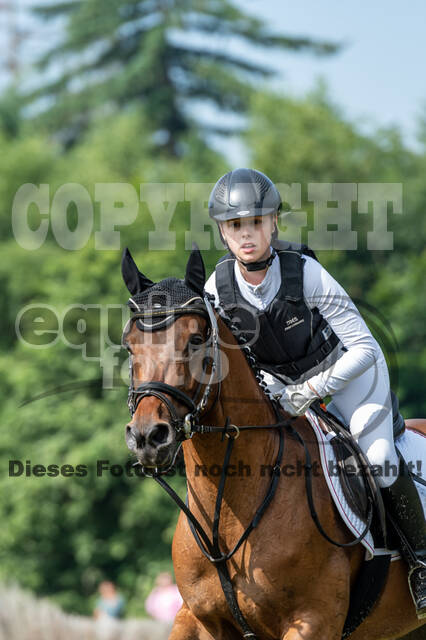 Goldene Schärpe 2021 - Ponys