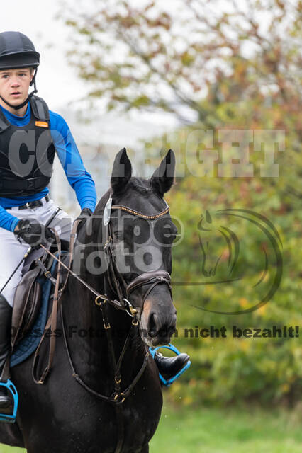 Goldene Schärpe 2020 - Pferde