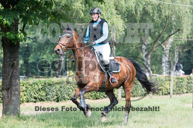 RFV Bad Honnef